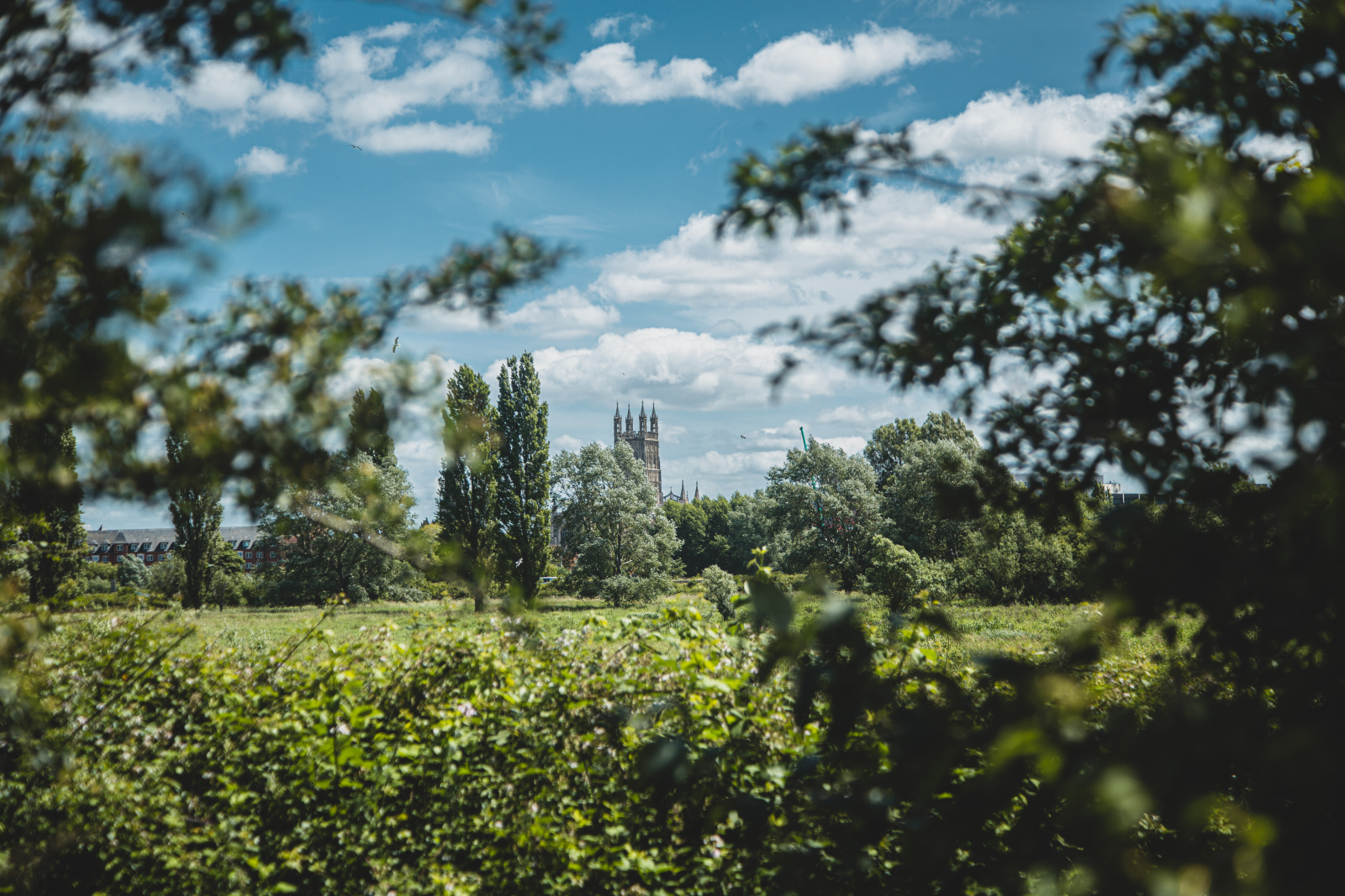 Gloucester Cathedral from Alney Island